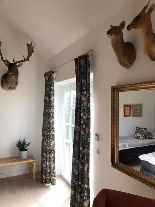 Cozy, Quiet Guest House Perfect For Business Or Pleasure ヒレレズ エクステリア 写真