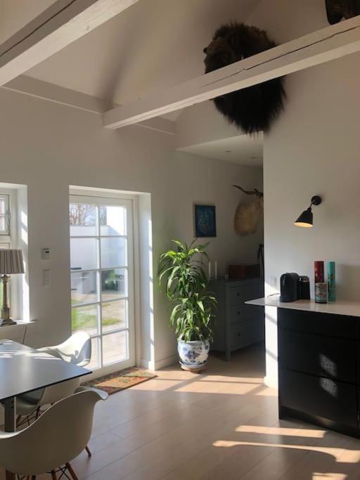 Cozy, Quiet Guest House Perfect For Business Or Pleasure ヒレレズ エクステリア 写真