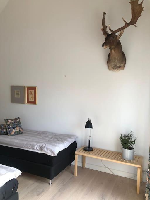 Cozy, Quiet Guest House Perfect For Business Or Pleasure ヒレレズ エクステリア 写真