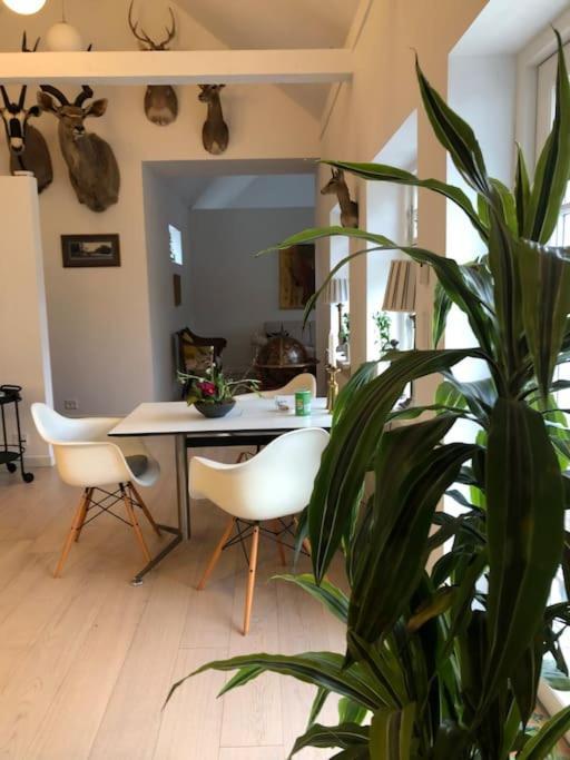 Cozy, Quiet Guest House Perfect For Business Or Pleasure ヒレレズ エクステリア 写真