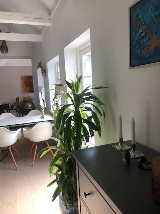 Cozy, Quiet Guest House Perfect For Business Or Pleasure ヒレレズ エクステリア 写真