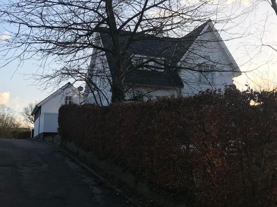 Cozy, Quiet Guest House Perfect For Business Or Pleasure ヒレレズ エクステリア 写真